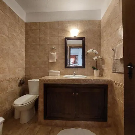 Lejlighed Elpida Stone House Psakoudia